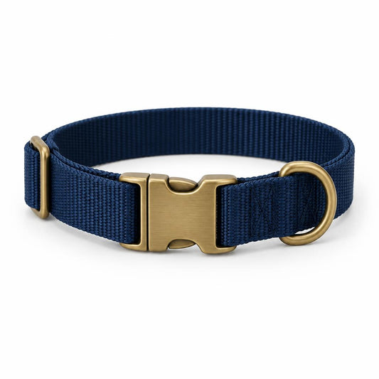 Collar ajustable con hebilla metálica